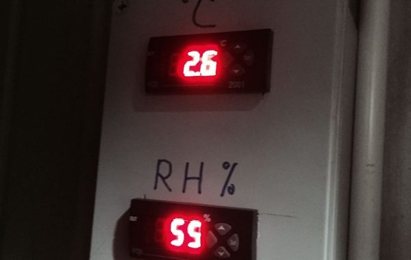 Monitor of cold room temperature rh